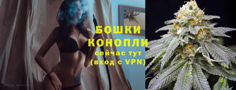 как найти закладки  Новодвинск  Бошки Шишки White Widow 